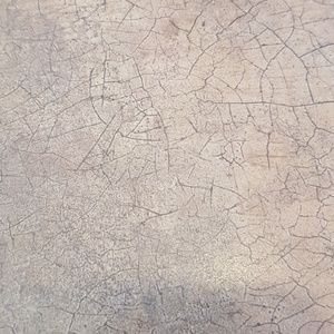 Meet your Posher, Jonah